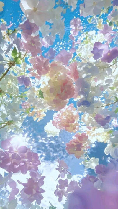 审美积累·colorful