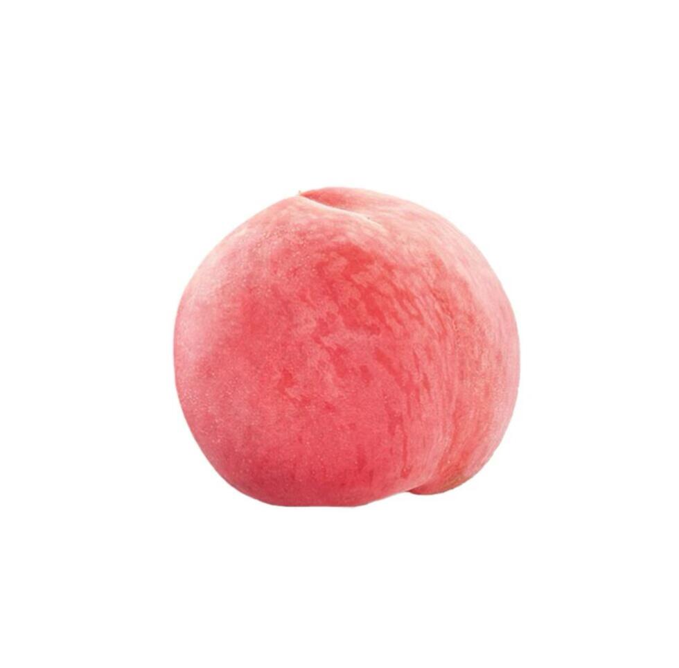 红色系水果白底头像