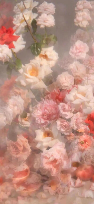 少女心手机壁纸