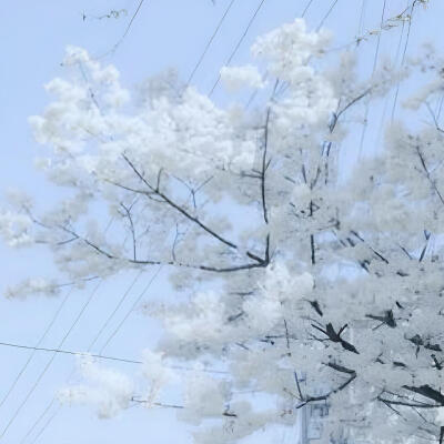 审美积累·蓝色系