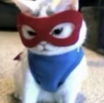 hi宝宝们一年多没更新啦～