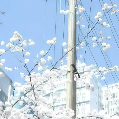 审美积累·蓝色系