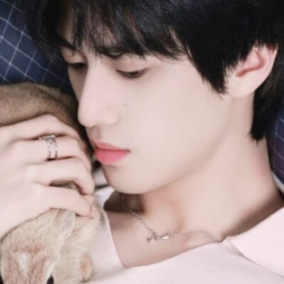 这个妹妹我曾见过的