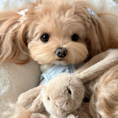 图源ks：偷喝汽水