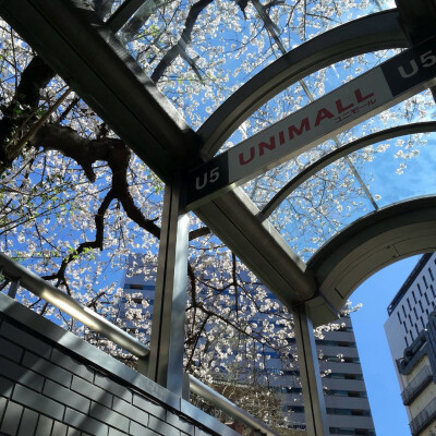 图源ks：偷喝汽水