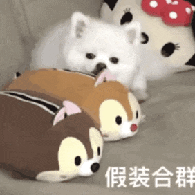 表情包