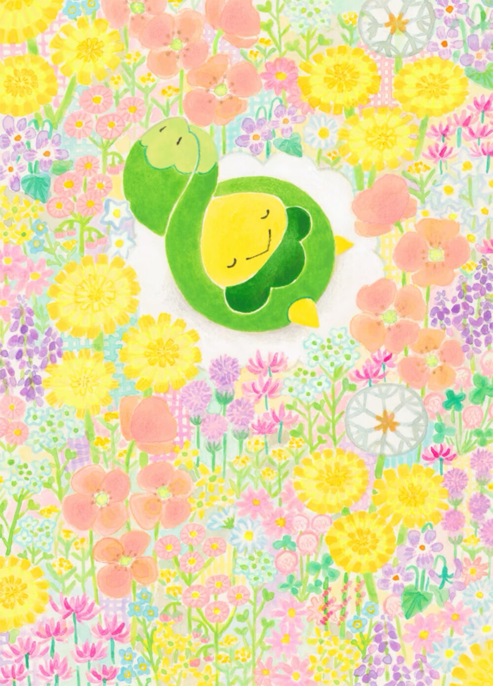 含羞苞