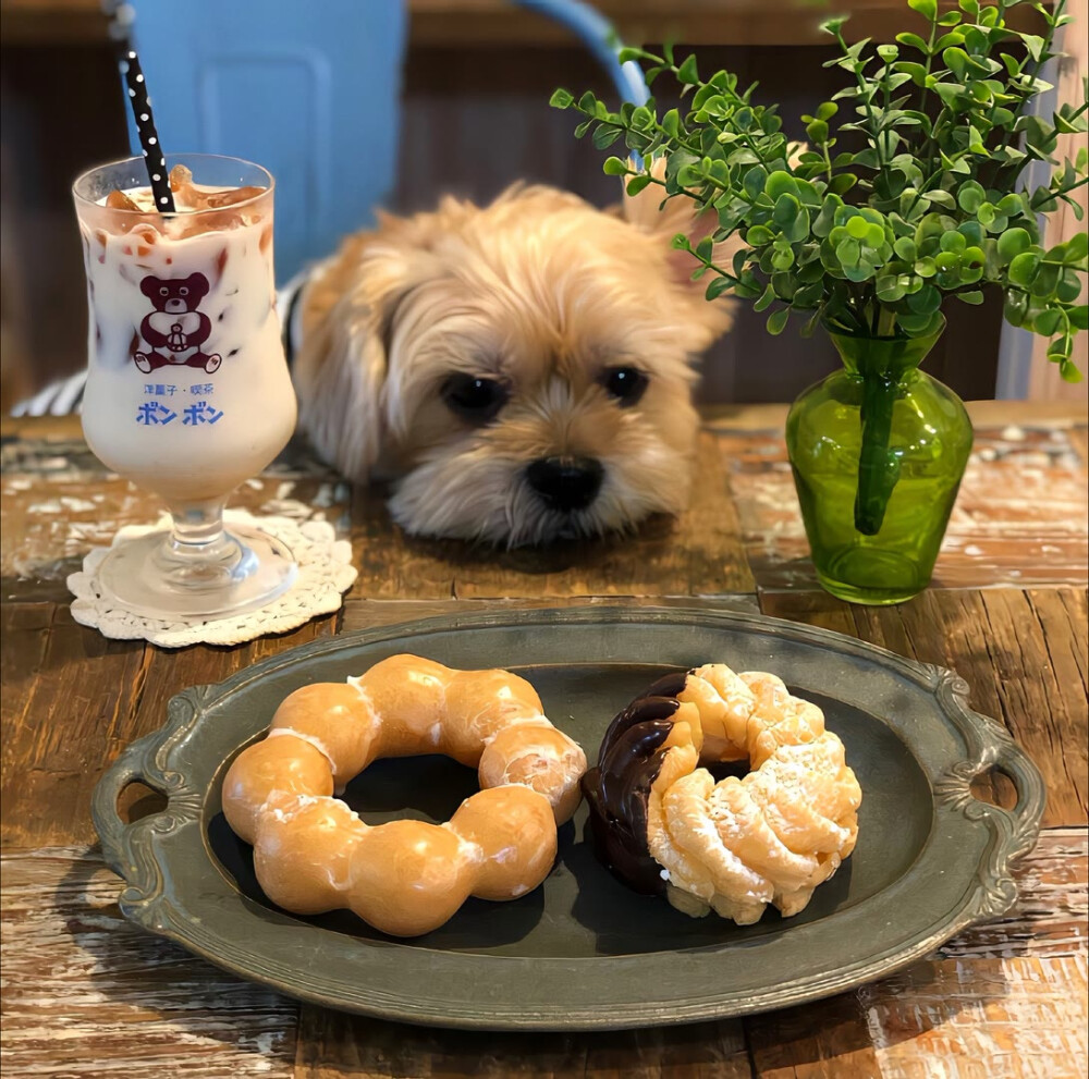 图源ks：偷喝汽水