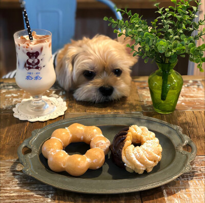 图源ks：偷喝汽水