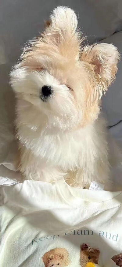 侵删