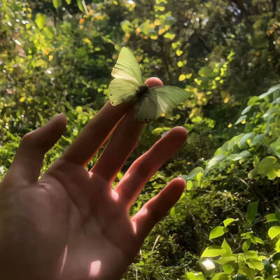 侵删