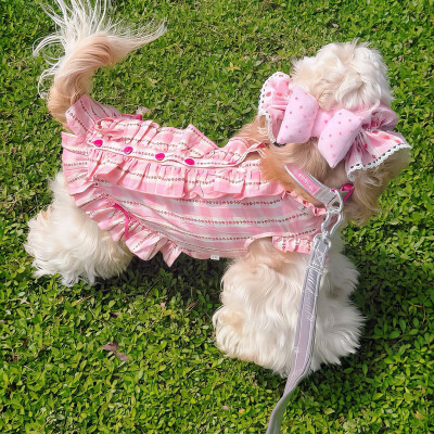 图源ks：偷喝汽水