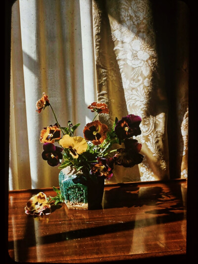 日常
I wish I could，
Do it all again，
Fix everything，
Never lose you again。