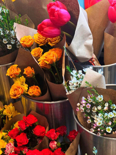 日常
I wish I could，
Do it all again，
Fix everything，
Never lose you again。