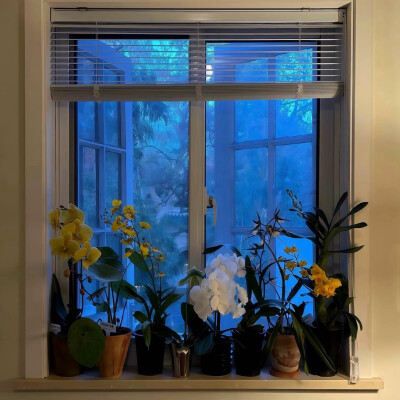 图源ks：偷喝汽水