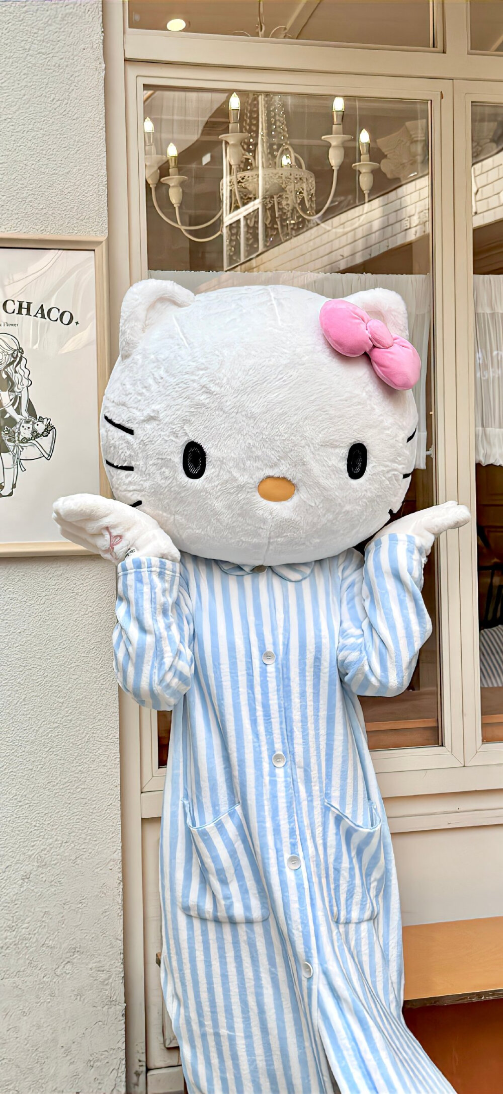 Kitty壁纸