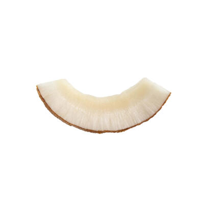 果脯果干白底头像