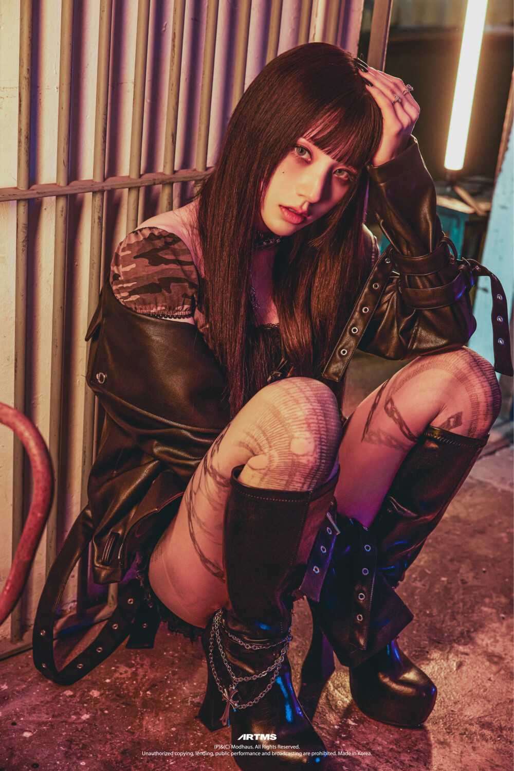田姬振