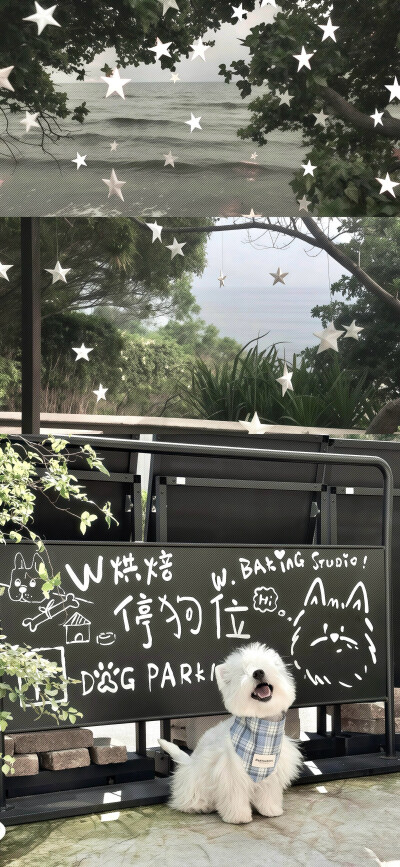 可可爱爱