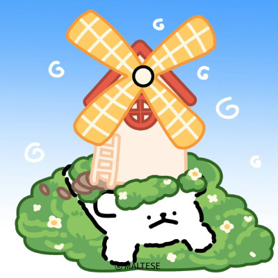 风里有小狗的幸福味道