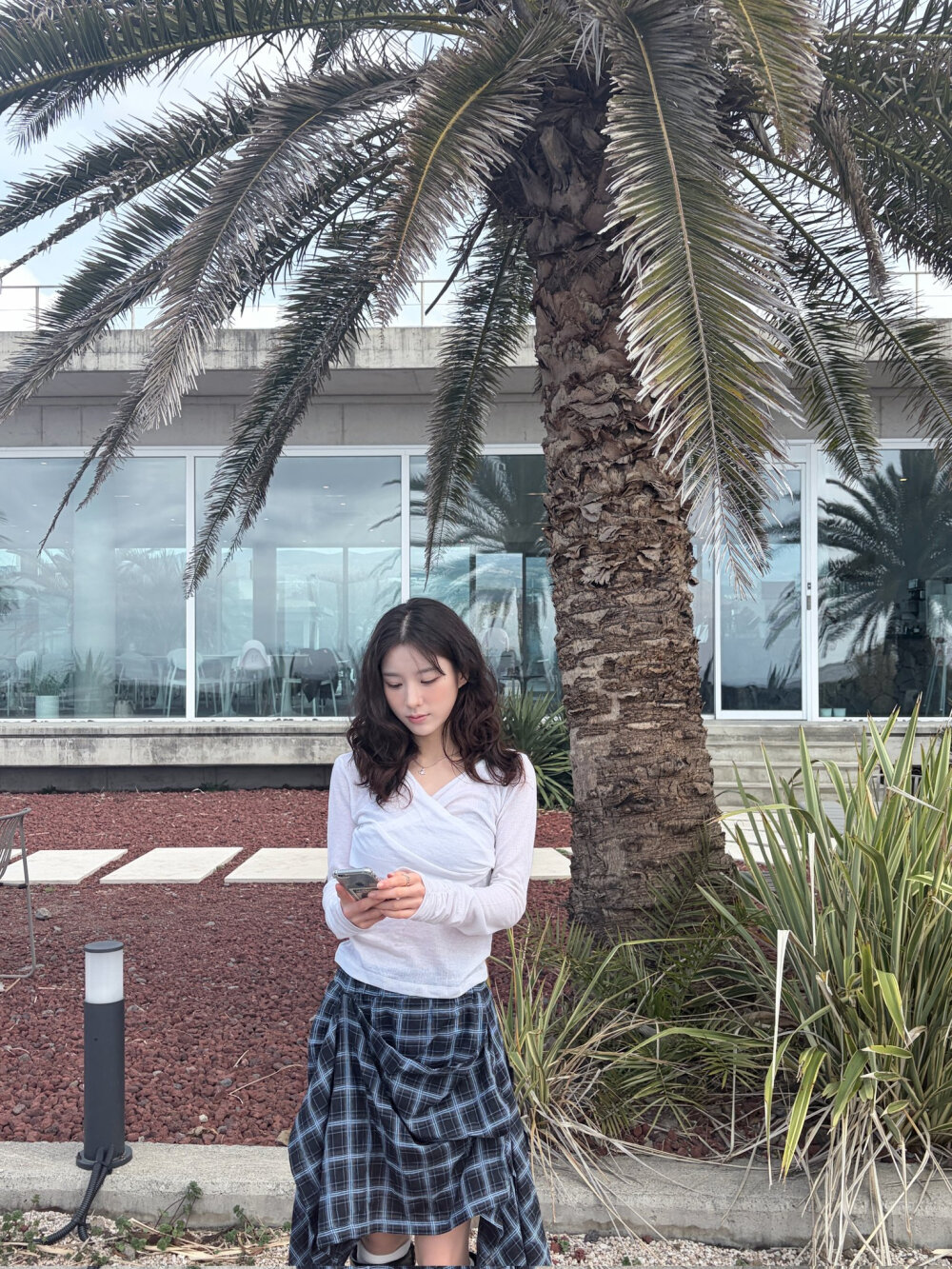 田姬振