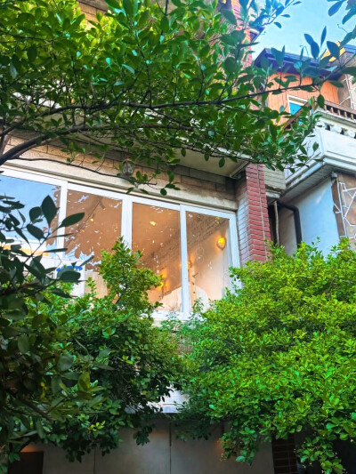 日常
柳暗花明又一村