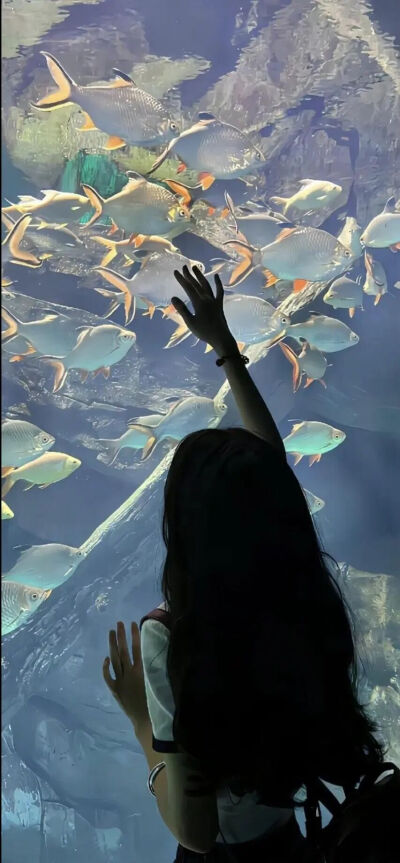 蓝色壁纸