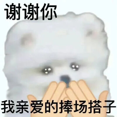 表情包