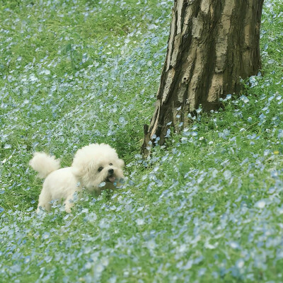 图源ks：偷喝汽水