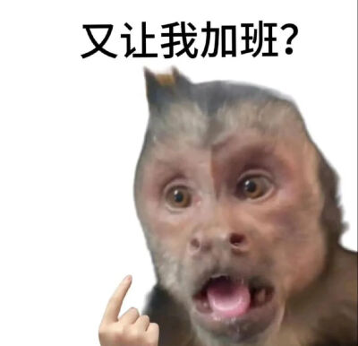 表情包