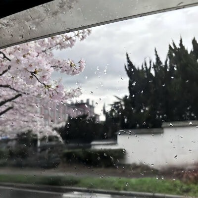 ⦁✣⦁