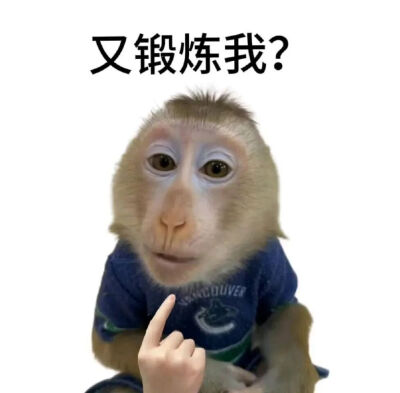 表情包