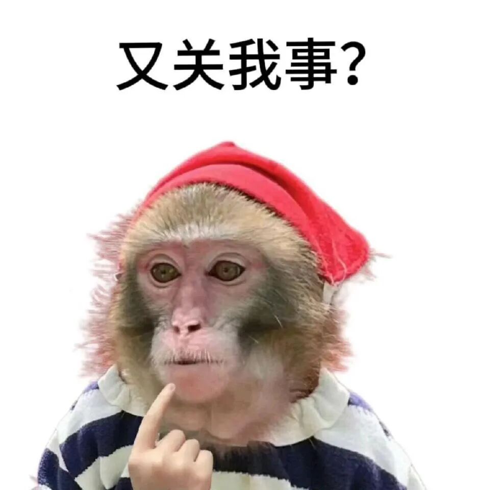 表情包