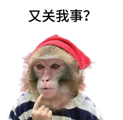 表情包