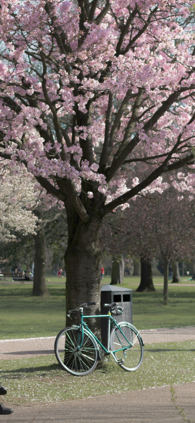 ‎#قدرات خارقة