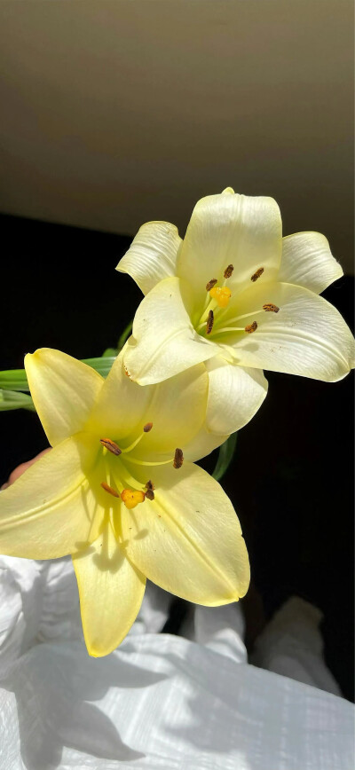 ‎#قدرات خارقة