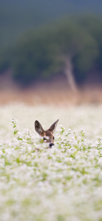 ‎#قدرات خارقة