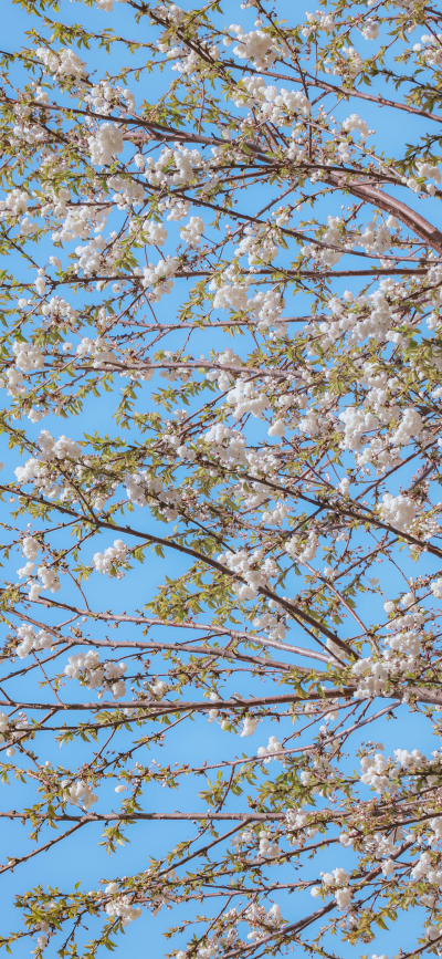 ‎#قدرات خارقة