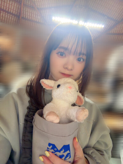 莲