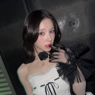 田姬振