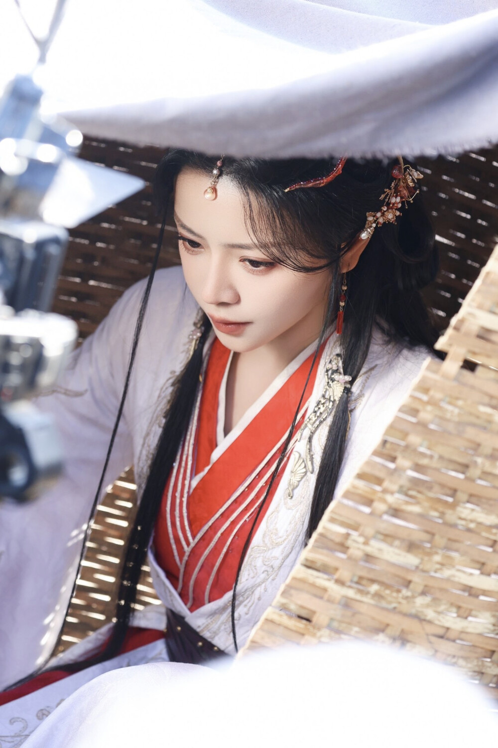 凤归谋 赵慕颜∣傅青悦