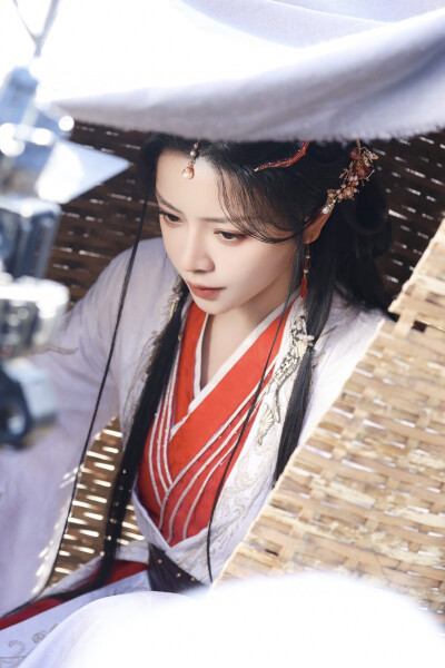 凤归谋 赵慕颜∣傅青悦