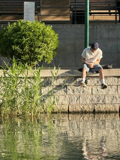 庆怜