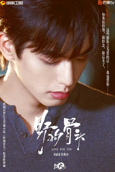 宋威龙
