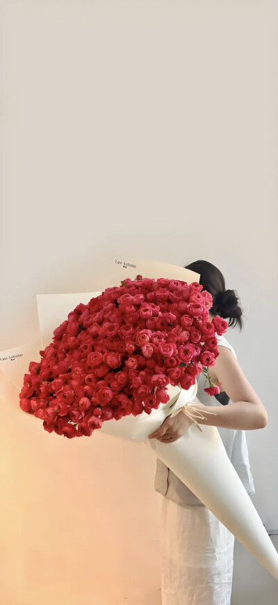 壁纸