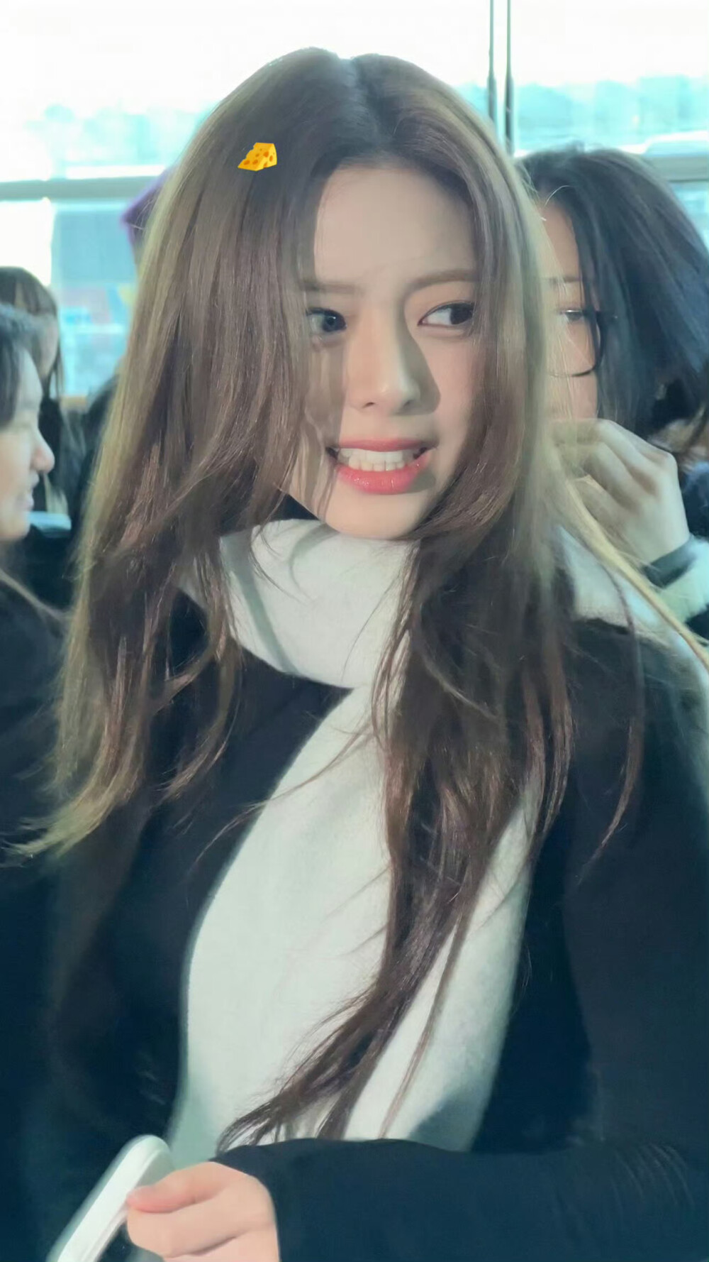 申有娜