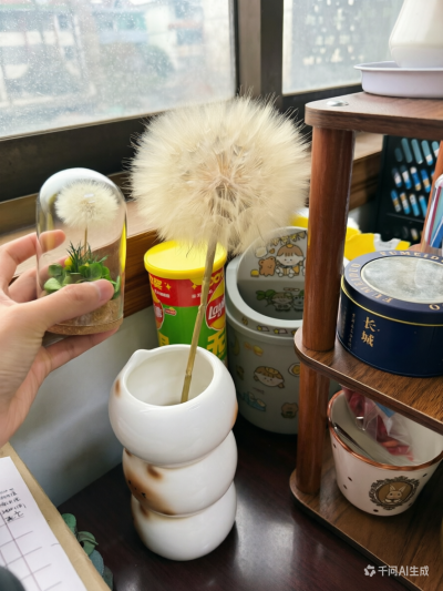 大蒲公英