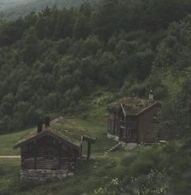 森林小屋