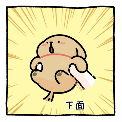 线条小狗