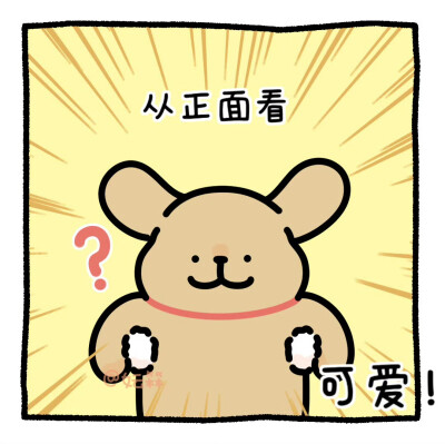 线条小狗